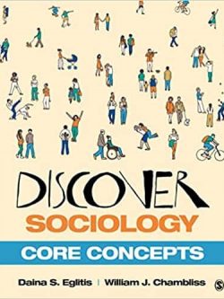 Discover Sociology: Core Concepts – PDF