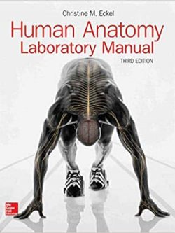 Human Anatomy Lab Manual (3rd Edition) – PDF
