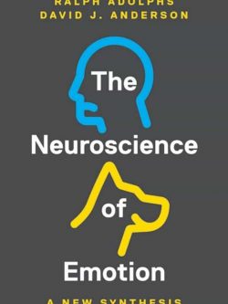 The Neuroscience of Emotion: A New Synthesis – PDF