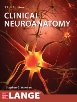 Clinical Neuroanatomy (29th Edition)