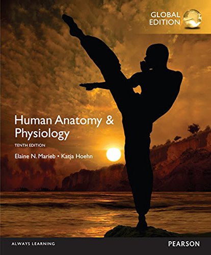 Human Anatomy & Physiology (10th Edition) Global