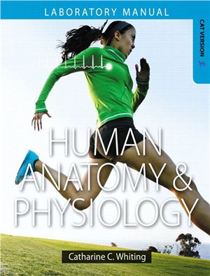 Human Anatomy and Physiology Laboratory Manual: Making Connections (Cat Version)