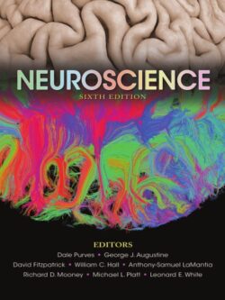 Neuroscience (6th Edition)