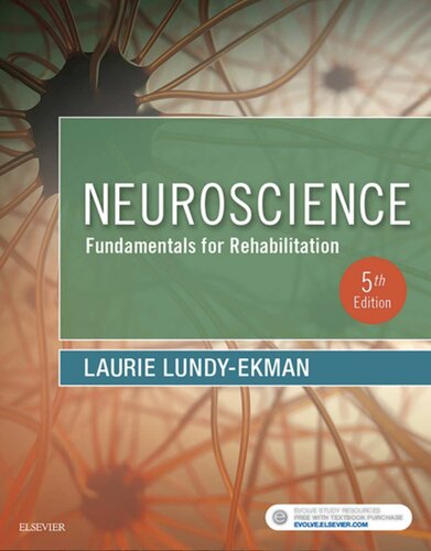 Neuroscience: Fundamentals for Rehabilitation (5th edition)