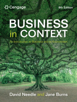 Business in Context (8th Edition) – PDF