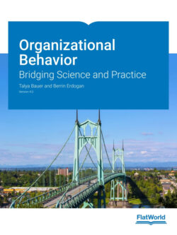 Organizational Behavior: Bridging Science and Practice (Version 4.0) – PDF