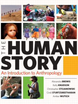 The Human Story: An Introduction to Anthropology Courseware – PDF